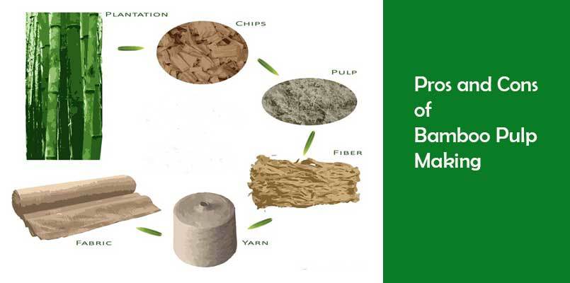 biodegradable disposable bamboo fiber or sugarcane bagasse pulp