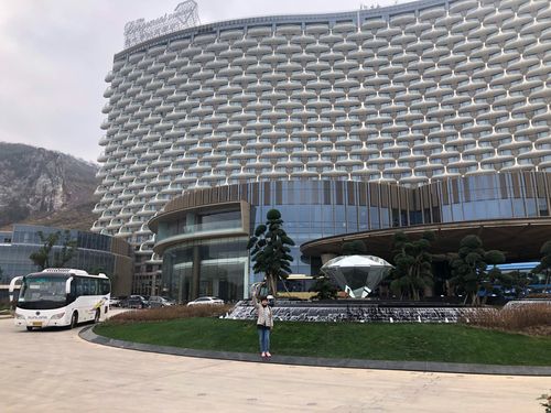湖州龙之梦之旅(2020年1月7日至1月8日)