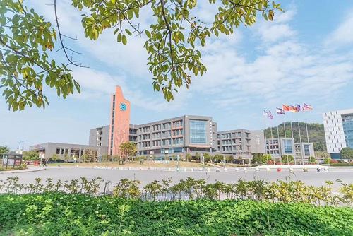 您好,欢迎来到四川科技职业学院附属高中