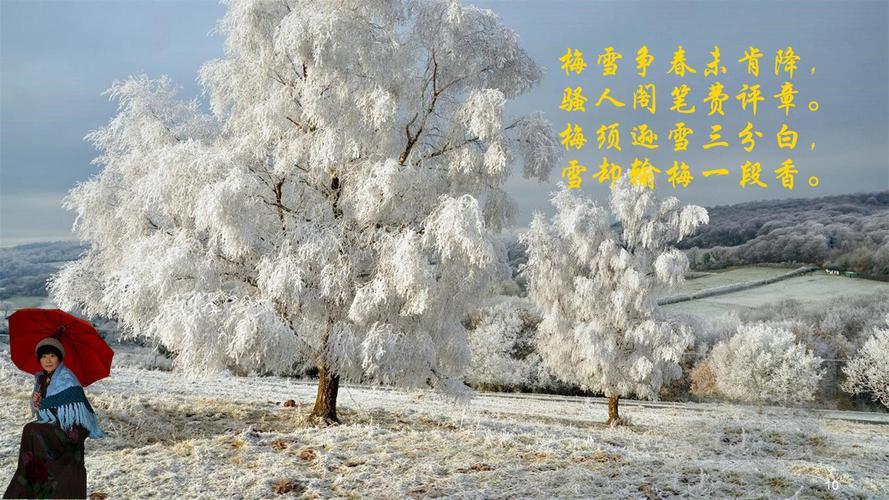 其它 美丽的雪景(一) 写美篇 图片来自:网络ppt 图片文字:网     络