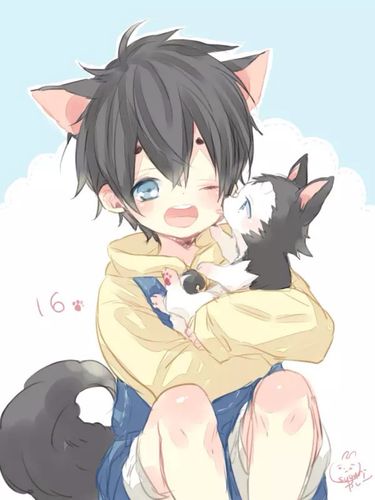 唯美 兽耳 正太 小清新 温馨 治愈 小狗拟人 萌 二次元 高清 壁纸