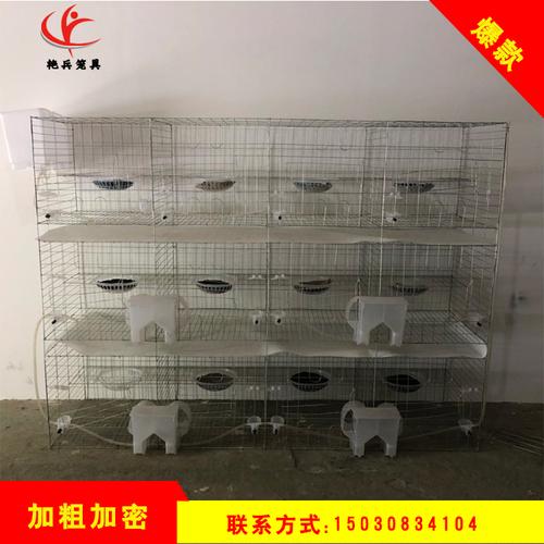 首页 痛风淘宝       减压水箱自动饮水箱养殖设备鸡鸭鹅兔鸽子笼用的