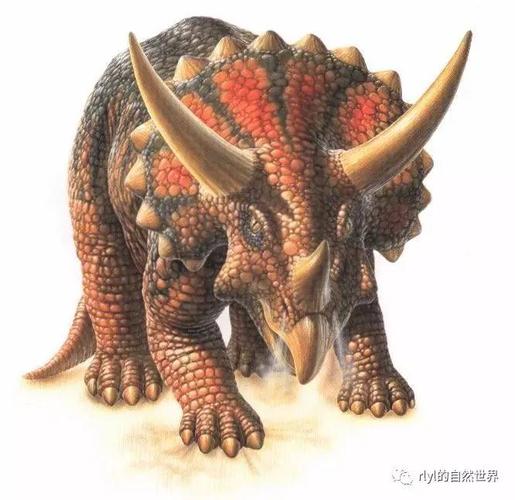 恐龙探索攻防一体三角龙