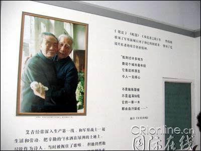 古代诗歌阅读答案 镜子艾青仅只是一个平面
