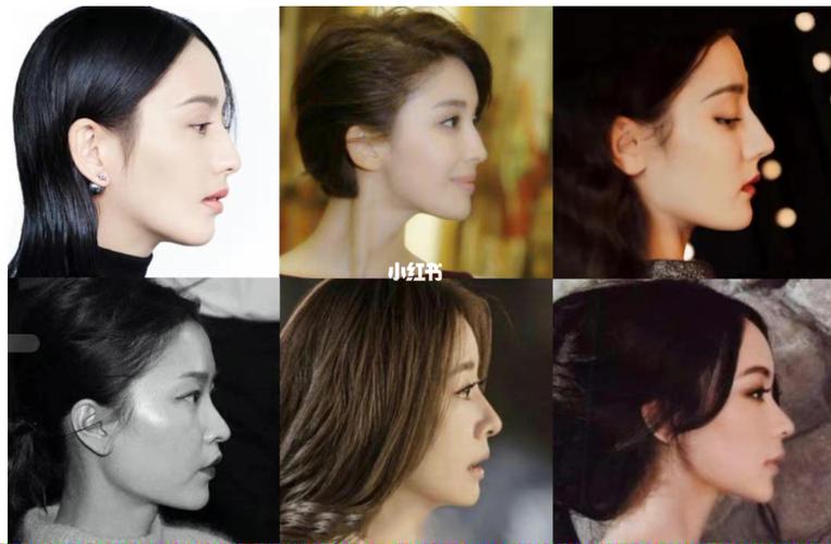36位女明星的侧脸_女明星_整形_娱乐_明星娱乐资讯