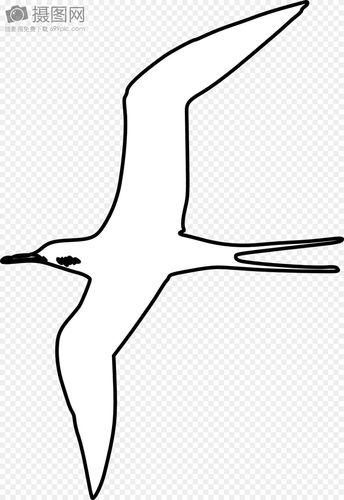 杨洋简笔画手绘图