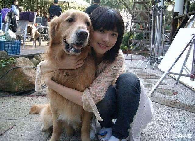 宠物比人贵?宠物消费连年递增,超过我们的"吃穿住用行