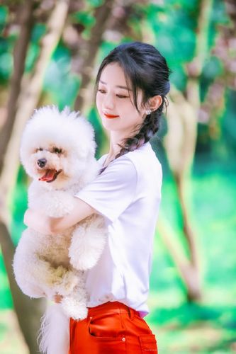 赵丽颖怀抱宠物露甜美微笑