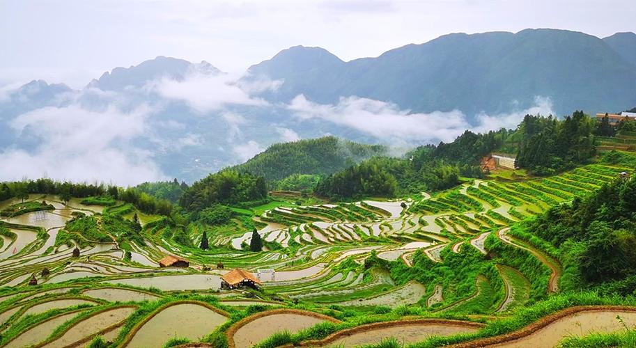云和梯田景区位于崇头镇,最早开发于唐初,兴于元,明,距今有1000多年