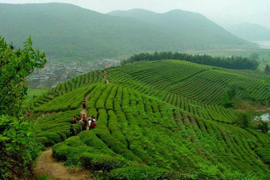 最美乡村 宁波象山泗洲头