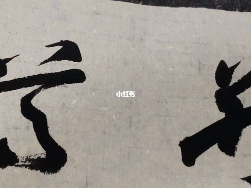 草书_写字是一种生活_兴趣爱好_书法