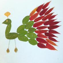 秋天真树叶贴画 幼儿园小学生手工课diy材料真标本创意树叶画大 孔雀