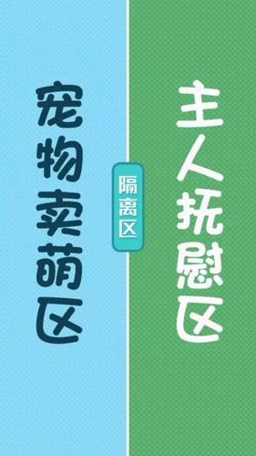 有趣的逗比聊天背景壁纸