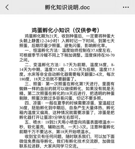 孵小鸡观察记录