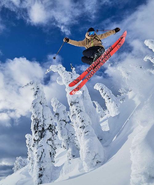 这双板,真的无敌帅_滑雪_双板滑雪教学_运动健身_运动