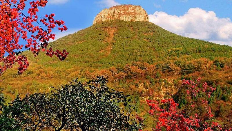 盘点风景挺好的公园,你去过枣庄抱犊崮,沈阳南湖公园吗