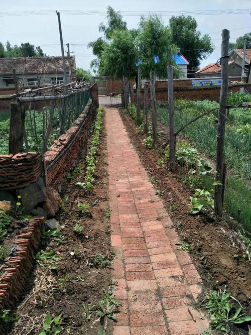 红砖铺就的小路通往正街,两边长满绿色植物,每当盛夏,仿佛一个绿色