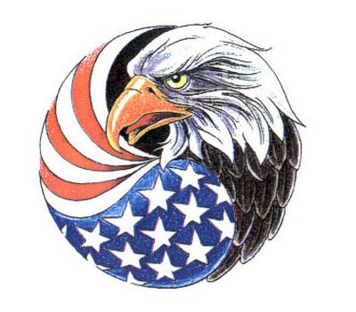 白头海雕手稿分享