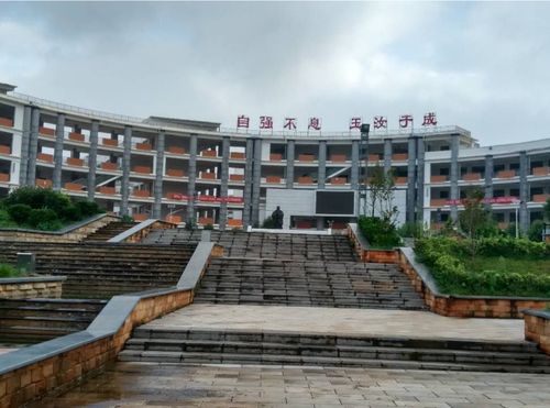 轿子山实验中学高三 上>第五次统考