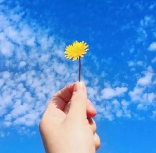 三观超正的励志句子句句正能量阳光上进