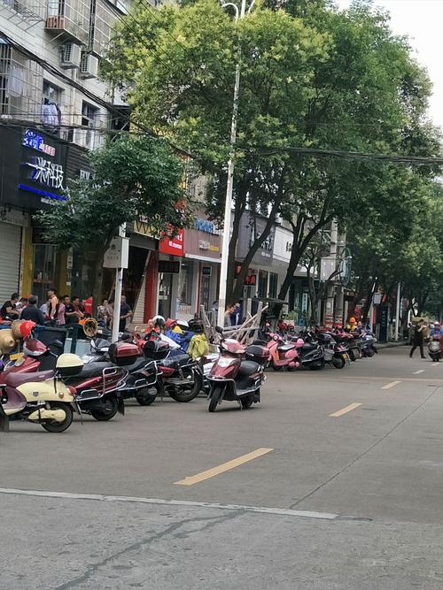 丽水是个文明城市.
