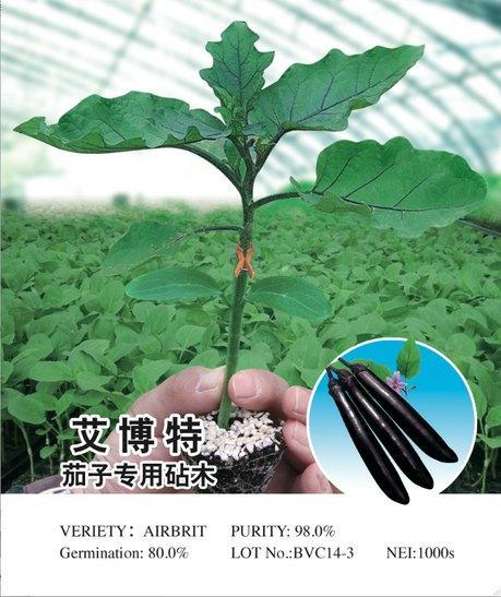 艾博特茄子砧木茄子专用砧木品种