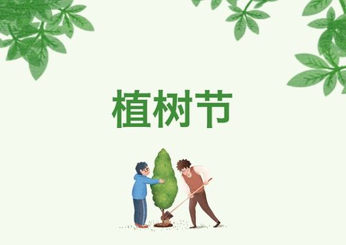 文化植树节你好