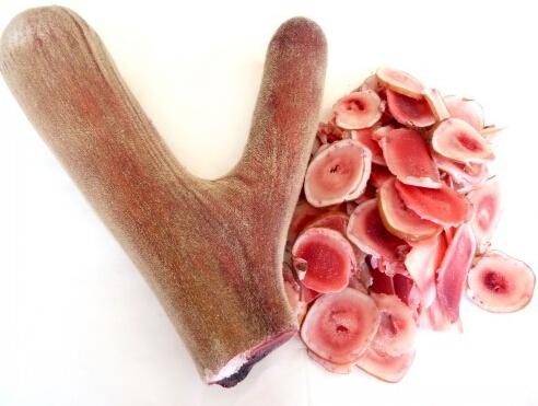 供应梅花鹿新鲜鹿茸 鲜鹿茸片鹿茸价格