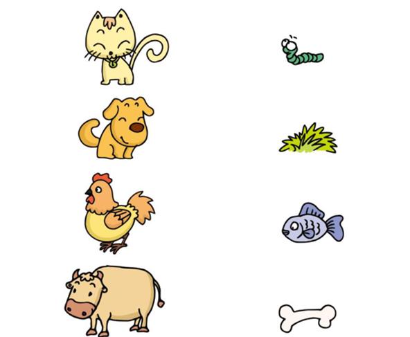 给小动物们盛上它们各自喜爱的食物