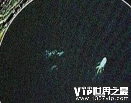 加拿大湖怪是什么,长达18米的恐怖神秘巨怪