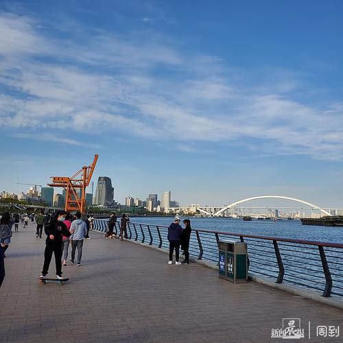 鲁迅公园赏花,徐汇滨江骑滑板,扔飞碟,哪个是你心目中的春天?