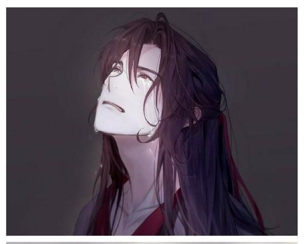 看来是一个喜欢上了魏无羡的人却不敢说出心意,魏无羡也