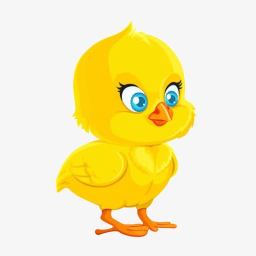 卡通小鸡