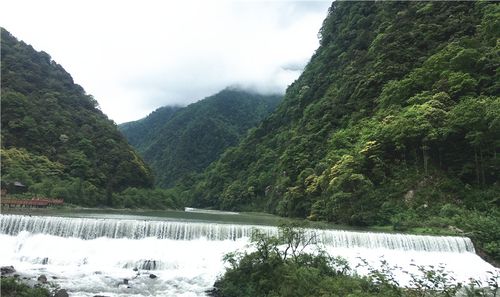 二郎山喇叭河风景区 _二郎山喇叭河风景区门票预订