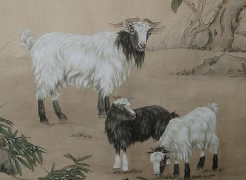 己未羊是什么意思   1919年和