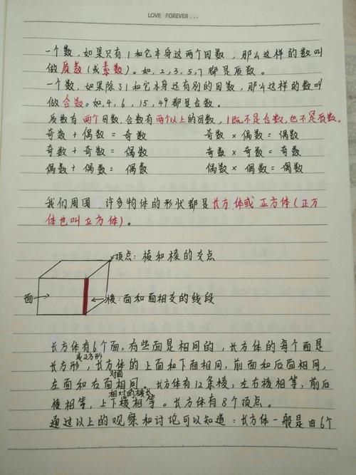 五年级数学下册读书笔记,错题整理,重点题型!