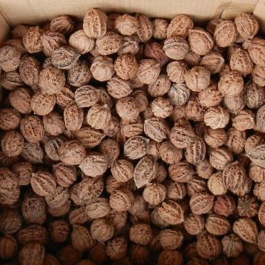 [五金建材资讯网]提醒您:点击产品头像图片进入购买链接 元一斤核桃