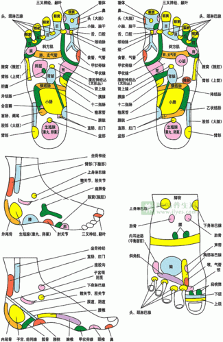 足部反射区按摩手法解析及应注意事项
