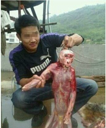 活剥①活剥即揭人皮,可以是局部,也可以是全部.