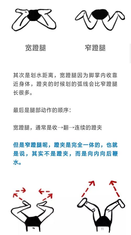 蛙泳窄蹬腿和宽蹬腿的区别.