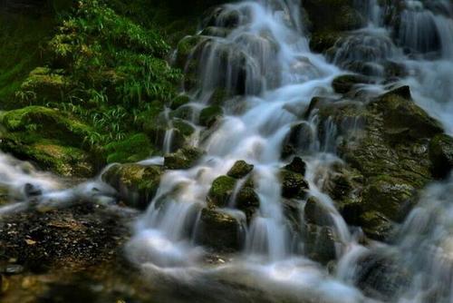 (高山流水觅知音)