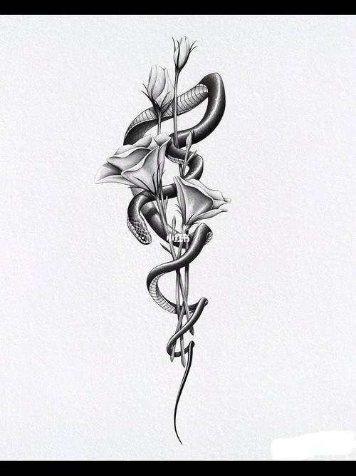 适合纹在身上的蛇纹身手稿_纹身_刺青_三相刺青纹身