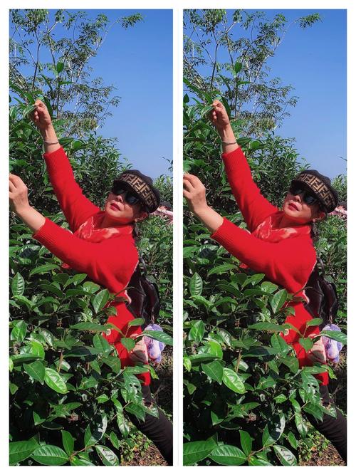 李木子_lee的美篇