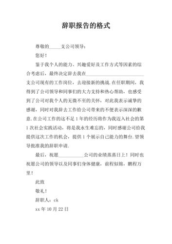 辞职报告的格式