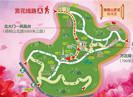梧桐山赏"花中西施"!毛棉杜鹃花会最佳游玩攻略出炉