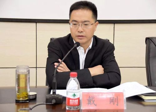 戴刚讲话