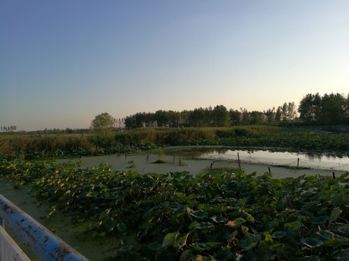 安徽阜阳颍泉区泉水湾湿地公园(国家级),何时竣工?