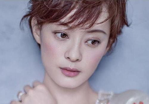 孙俪个人资料及经历