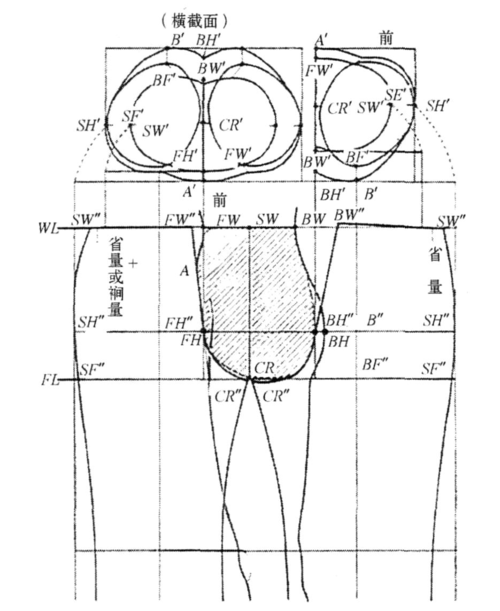 女性紧身裤结构参数与样板优化设计的探讨