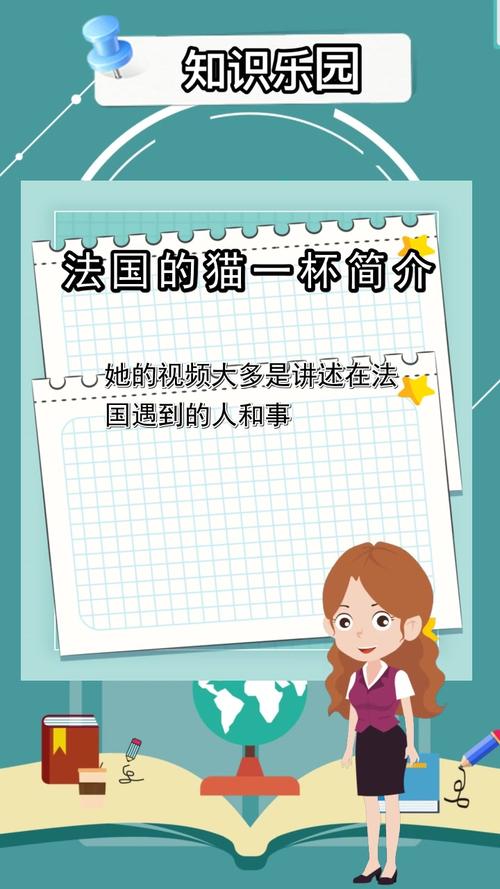 法国的猫一杯简介你看懂了吗